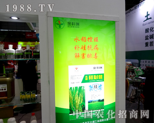 2015ȫ(gu)ֲ(hu)ϱMչF(xin)L(fng)