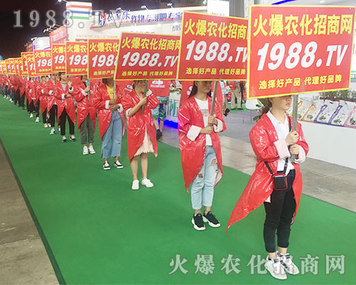 2018r(nng)Y1988.TVȫԸ