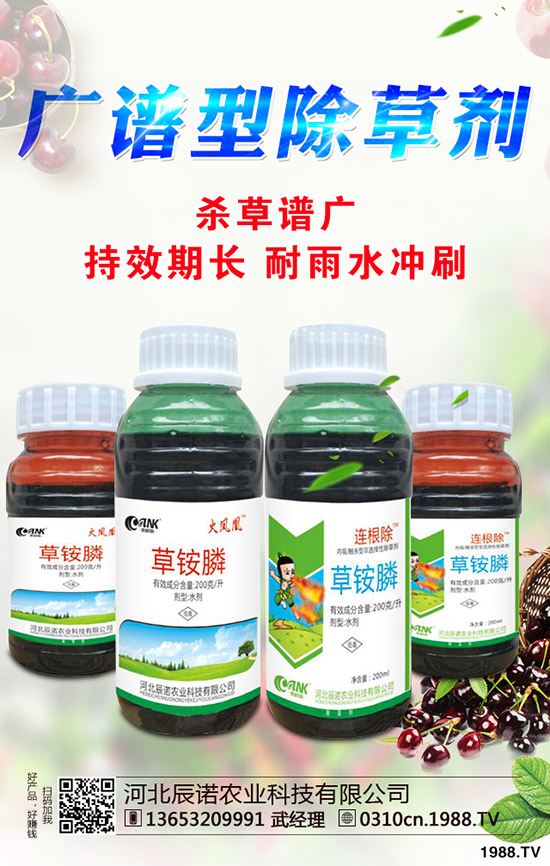 柑橘為什么不長個?促進(jìn)柑橘長個的措施有哪些?
