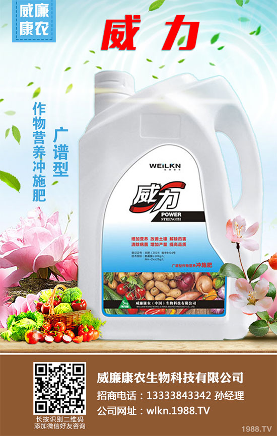 白菜干燒心有哪些危害？是如何引起的？白菜干燒心的防治措施