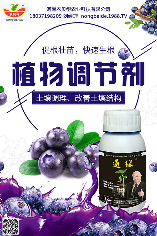 菠菜有什么營養(yǎng)價值?吃菠菜要去根嗎?
