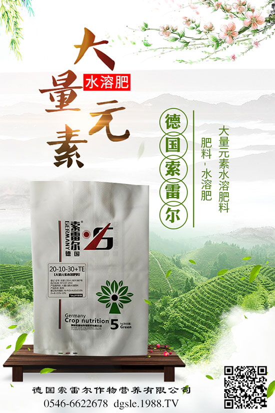 吃甘蔗有什么好處?甘蔗的營養(yǎng)價(jià)值及食用禁忌!