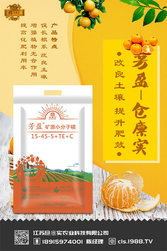 丯ʲôΣ丯ô