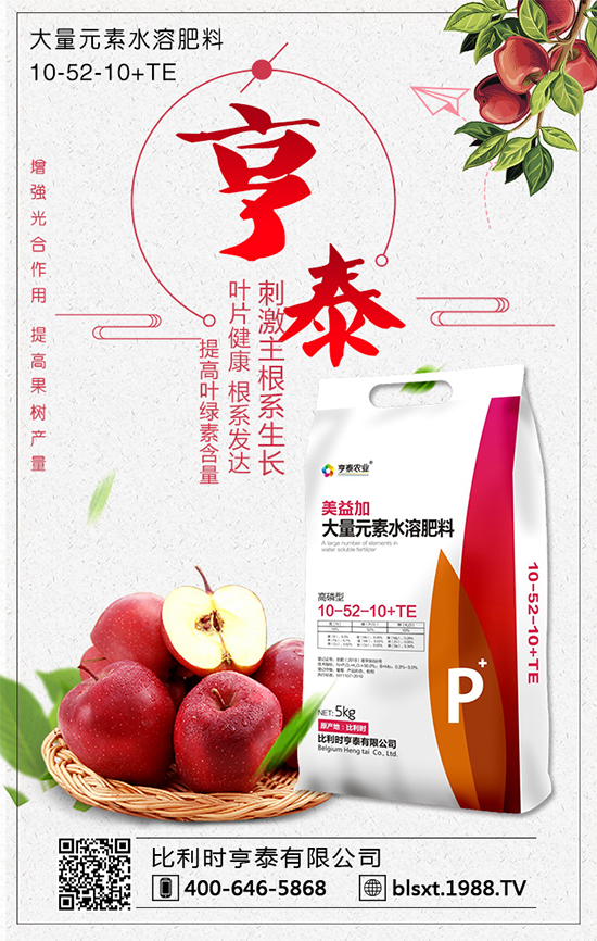 白菜多少錢一斤?2020年種植前景怎么樣?