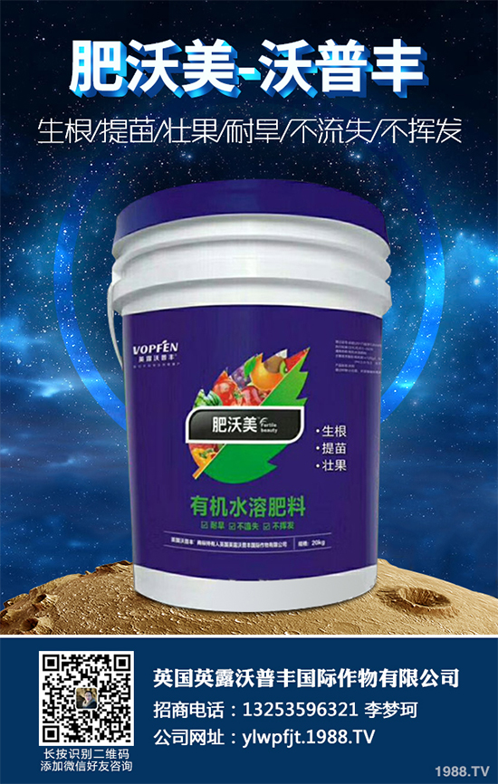 長(zhǎng)期低溫寡照，蔬菜長(zhǎng)勢(shì)差該如何解決？冬季大棚補(bǔ)光的幾項(xiàng)措施