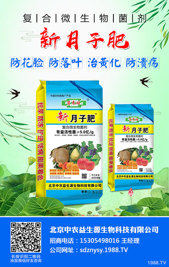 紅棗迎來(lái)的上市期!2019年度紅棗價(jià)格行情走勢(shì)及供需情況!