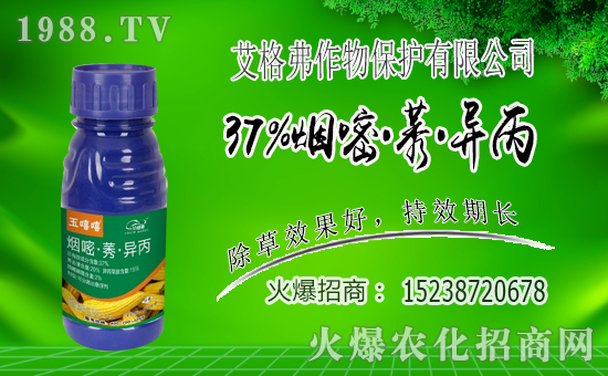 1988.TV喜迎新盟友,艾格弗作物保護開啟網(wǎng)絡(luò)招商新征程!