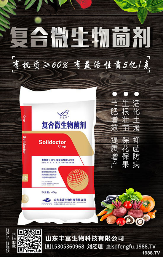 Pخa(chn)2020Nֲǰ