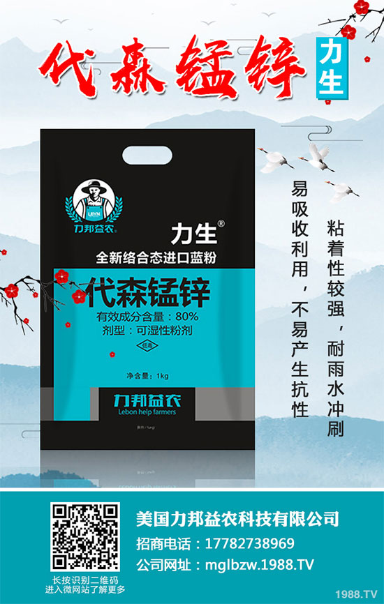     z䚢r(ji)