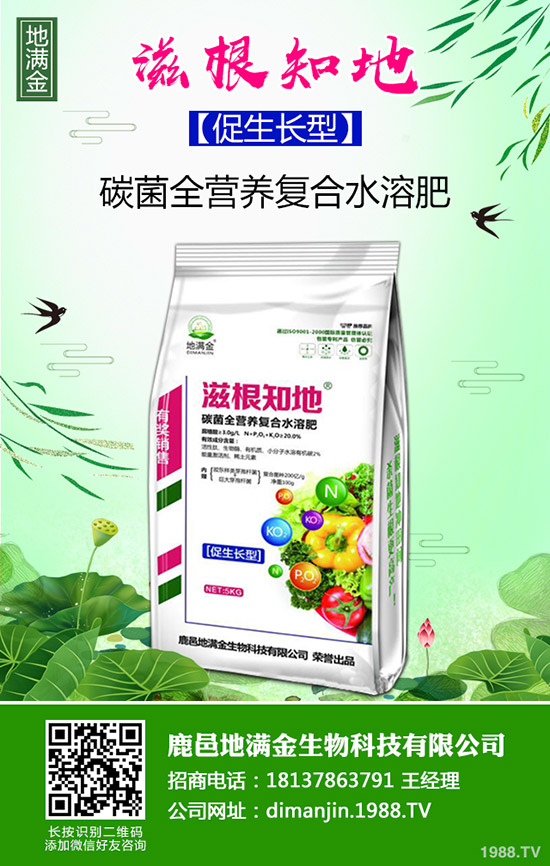     2020NֲЩ[ƷNٍX[Nֲr(sh)g缼g(sh)