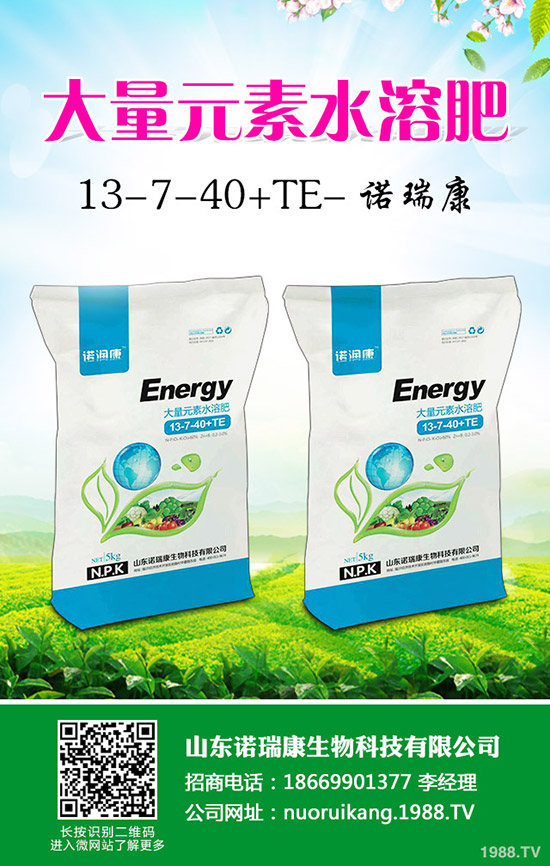 臨近年關(guān)!2020年尿素市場行情怎樣變化!最新行情分析!