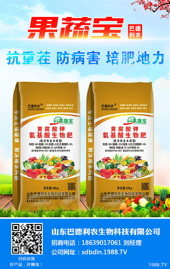 2020年預測番茄種植現(xiàn)狀分析!種植番茄還賺錢么?畝產利潤及成本多少?