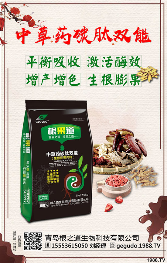 五味子市場(chǎng)價(jià)格如何?2020年種植五味子賺錢么?前景和效益怎么樣?