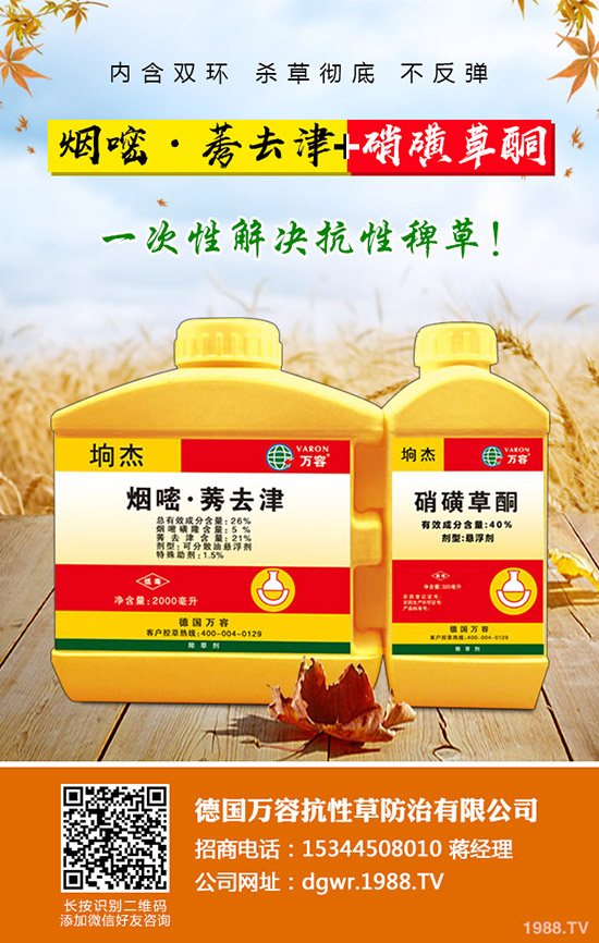 李子苗種植的季節(jié),李子高產(chǎn)種植要點(diǎn)!