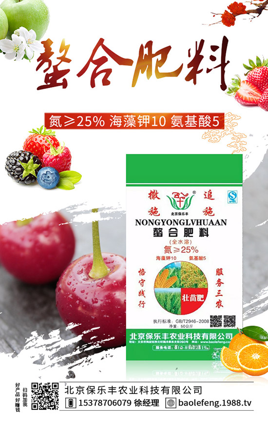 陽臺番茄怎么種？陽臺番茄種植方法 