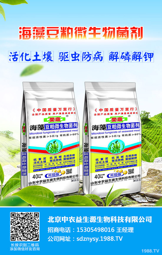 花椰菜什么時(shí)間種植,花椰菜種植技巧有哪些?