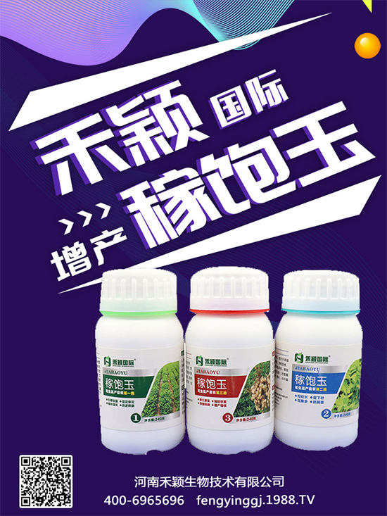 Nֲի@rgNֲLh(hun)