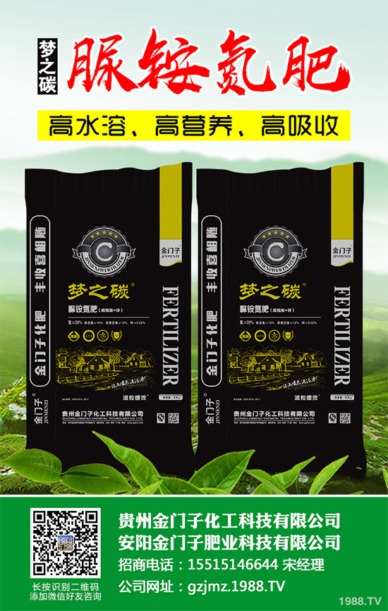 萵苣什么時(shí)候種植?萵苣高產(chǎn)種植方案