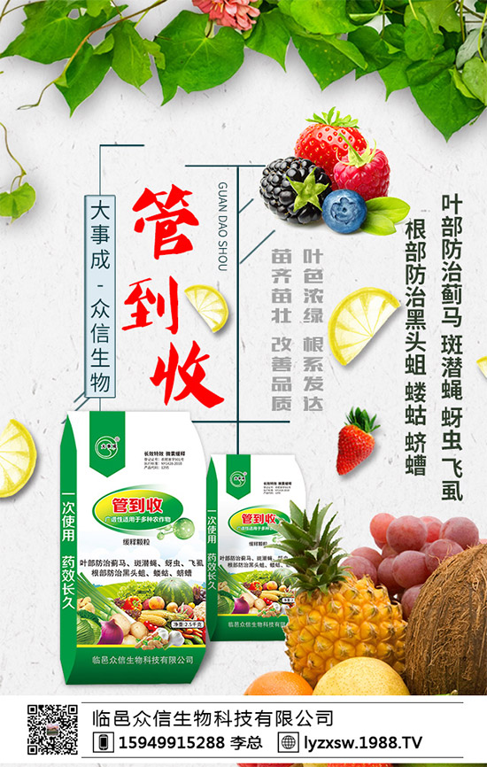 茼蒿大概什么時候種植?茼蒿的種植時間及種植技術