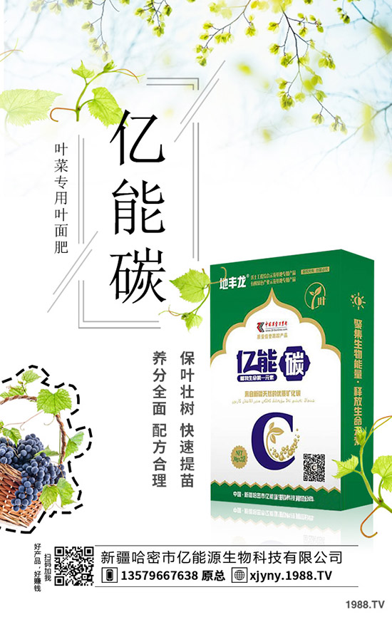 板栗樹(shù)怎么種植,板栗高產(chǎn)種植要點(diǎn)!