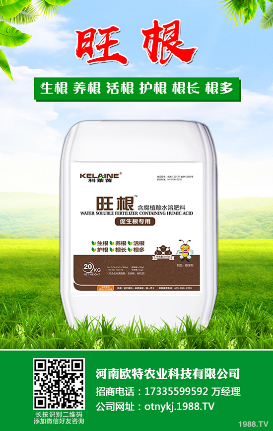 枇杷怎么種植,枇杷的種植及管理技術!