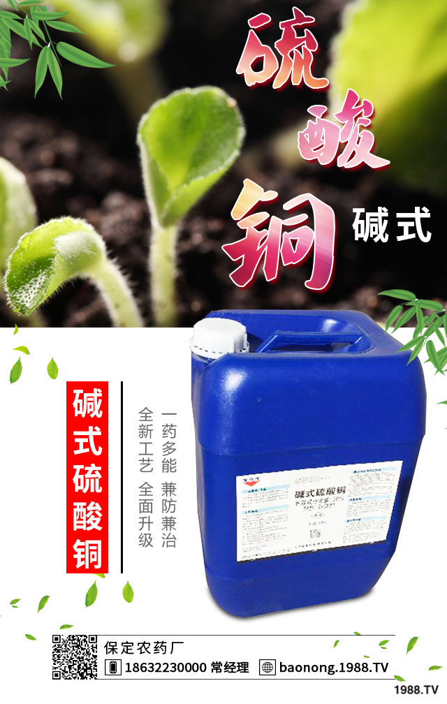 西葫蘆短粗病怎么辦?西葫蘆短粗病的成因和預防措施