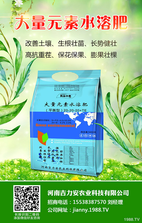 天麻什么時(shí)候種,天麻種植管理技巧