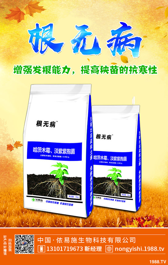 香菜、大蔥、香蔥種植賺錢(qián)嗎?常見(jiàn)調(diào)味型蔬菜種植利潤(rùn)分析!