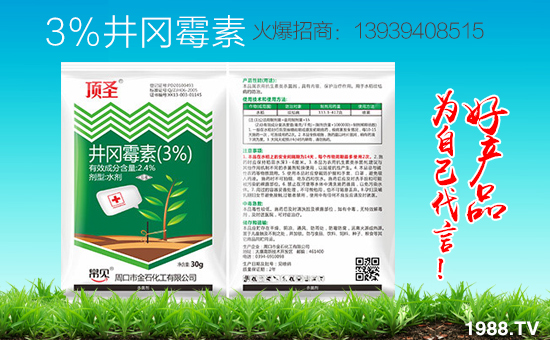 ܿڽʯ״κs1988.TVyֹ(chung)죡