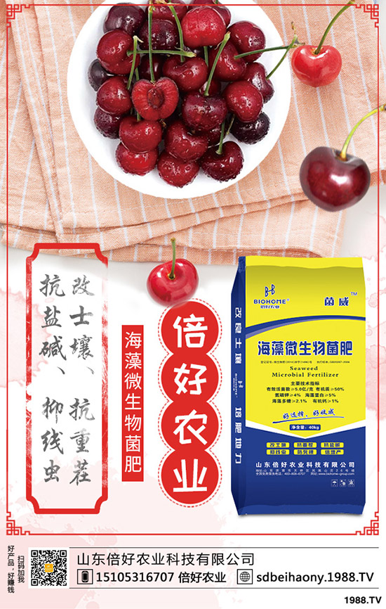大顆粒尿素價格大漲!2020-1-15今日各地最新尿素報價是多少?