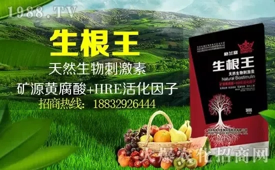 Сqr(ji)(g)e(bo)r(ji)^(gu)2500Ԫ/