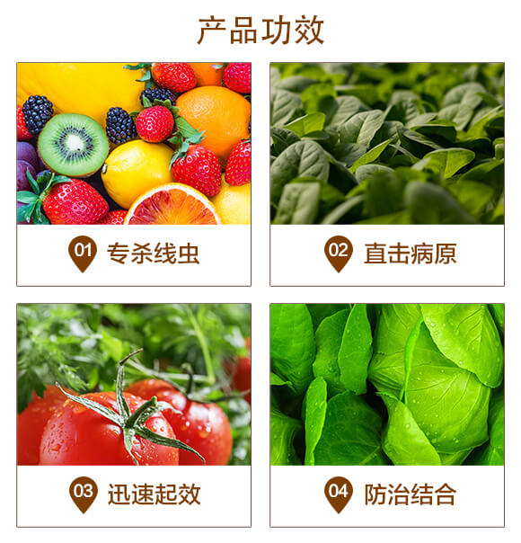 聚天門(mén)冬硼酸多醌木霉菌復(fù)合菌劑-斷刀-美島之星_03