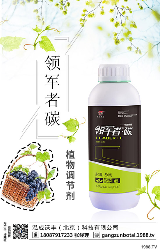 種植空心菜如何提高產量?這些種植方法要知道!