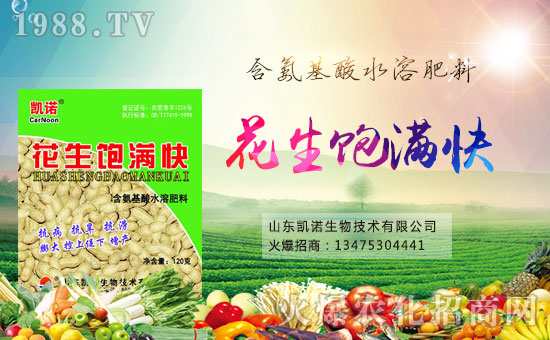 ףRPZﺞsv1988.TV_W(wng)j(lu)ģʽ