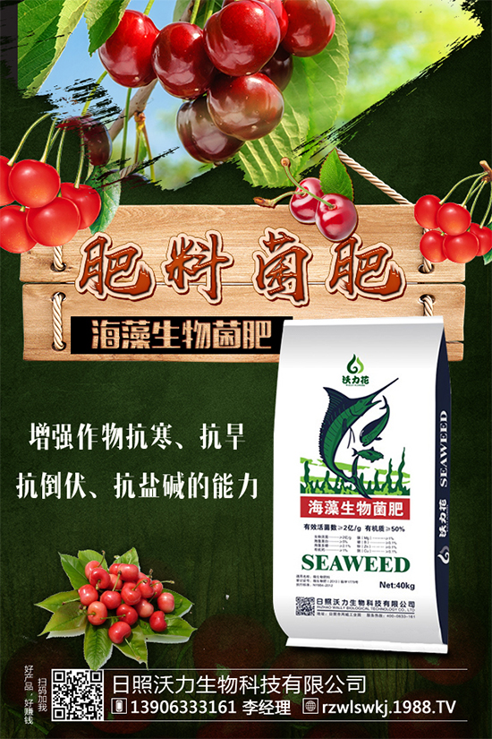 春玉米該如何種植?早春玉米高產種植技術要點