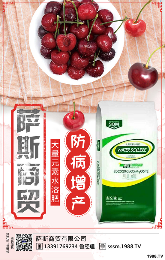 春玉米該如何種植?早春玉米高產種植技術要點