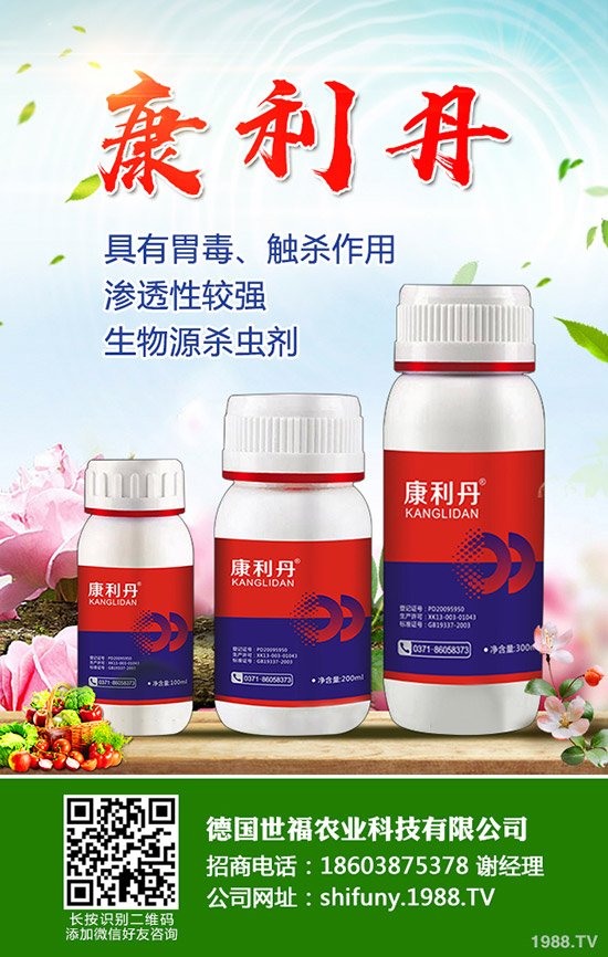 西洋參種植方法,西洋參田間管理要點!