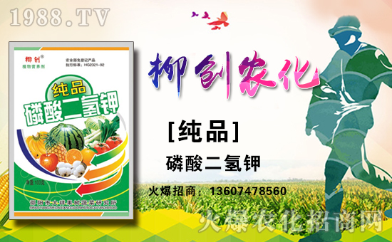 邵陽柳創(chuàng)農(nóng)化有限公司