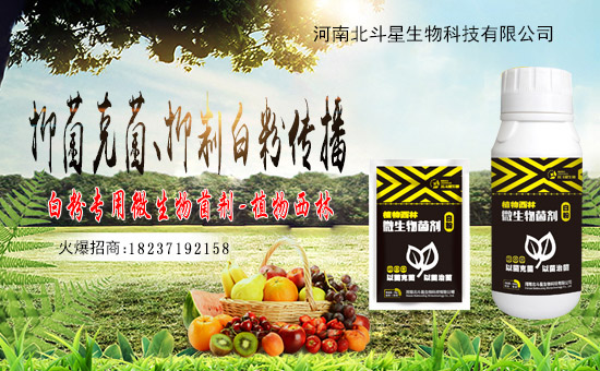 1988.TVϲӭ»飬ϱǔy1988.TVAδ(li)