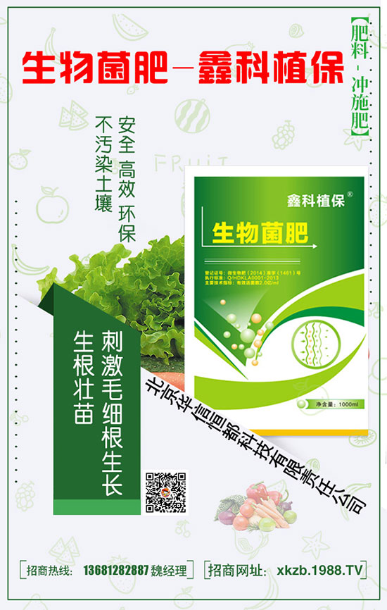 春季種植菠菜的施肥技巧以及要點(diǎn)!