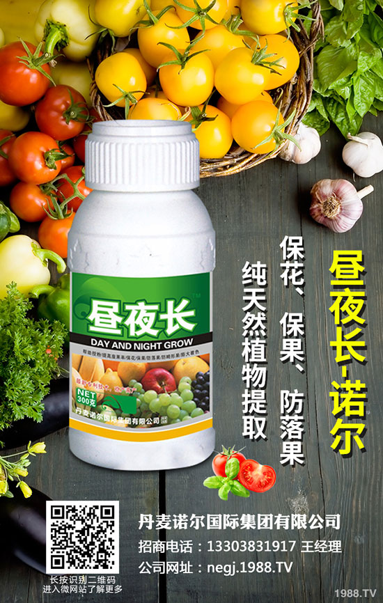 洋蔥如何科學施肥?洋蔥施肥方法看這里!