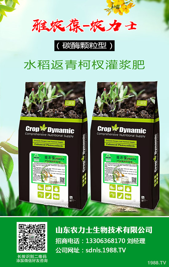 國內(nèi)尿素價格小幅探漲!最新尿素行情走勢綜合預(yù)測2020-4-16