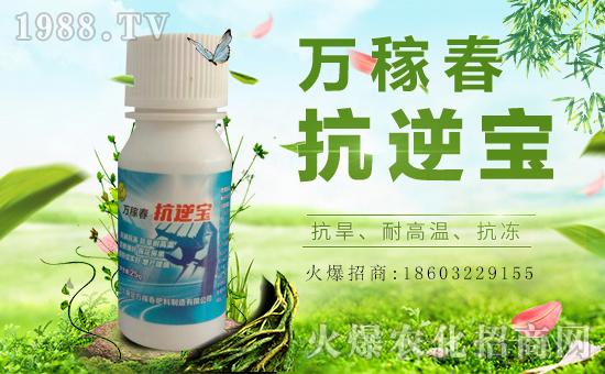 fڴ(qing)vr(nng)̾W(wng)F(xin)I(y)°l(f)չ