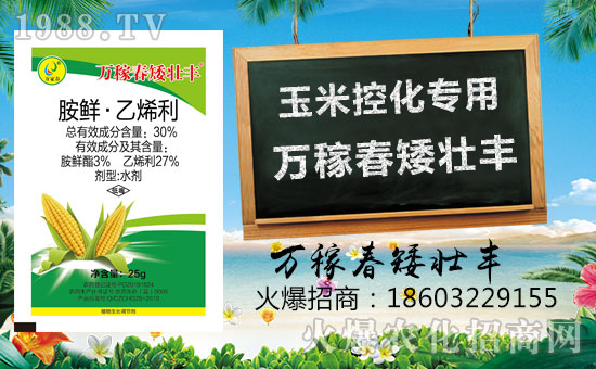 fڴ(qing)vr(nng)̾W(wng)F(xin)I(y)°l(f)չ