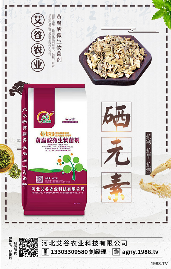 春季蘋果樹如何修剪?蘋果樹修剪原則及修剪技術!