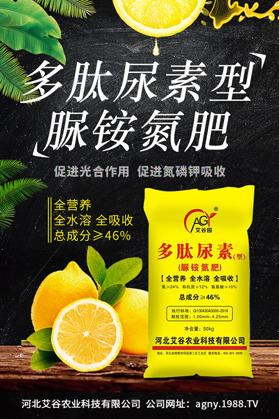 ļNֲҪcļ缼g(sh)ڹ