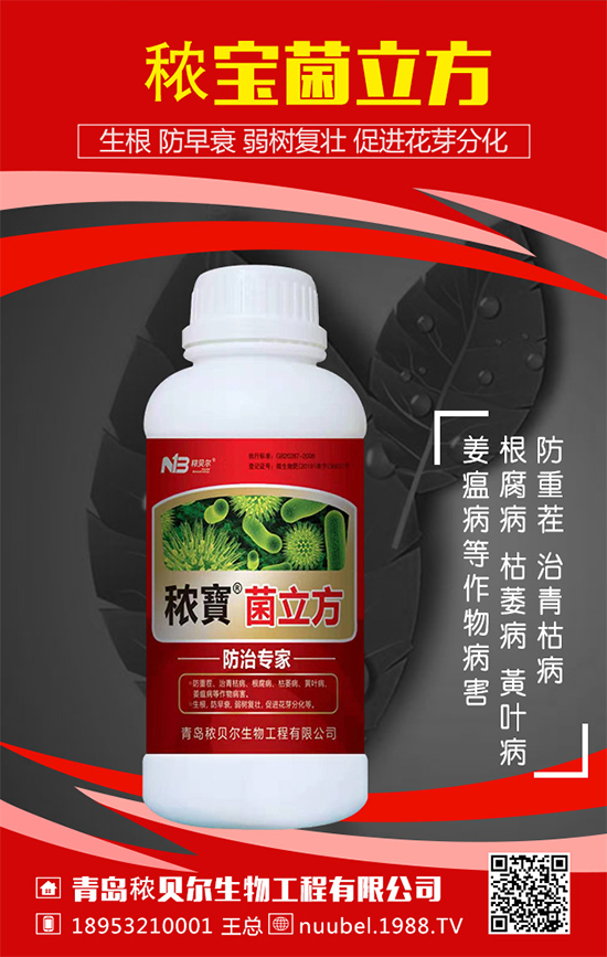 葫蘆怎么播種方法？葫蘆的播種方法及生長過程！