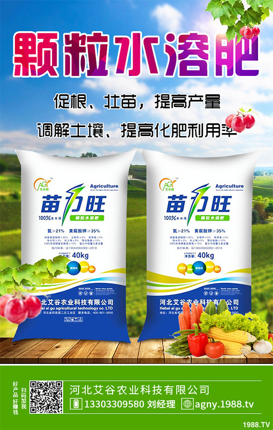 黑番茄有哪些營(yíng)養(yǎng)價(jià)值?功效作用有哪些?黑番茄的功效作用及種植前景