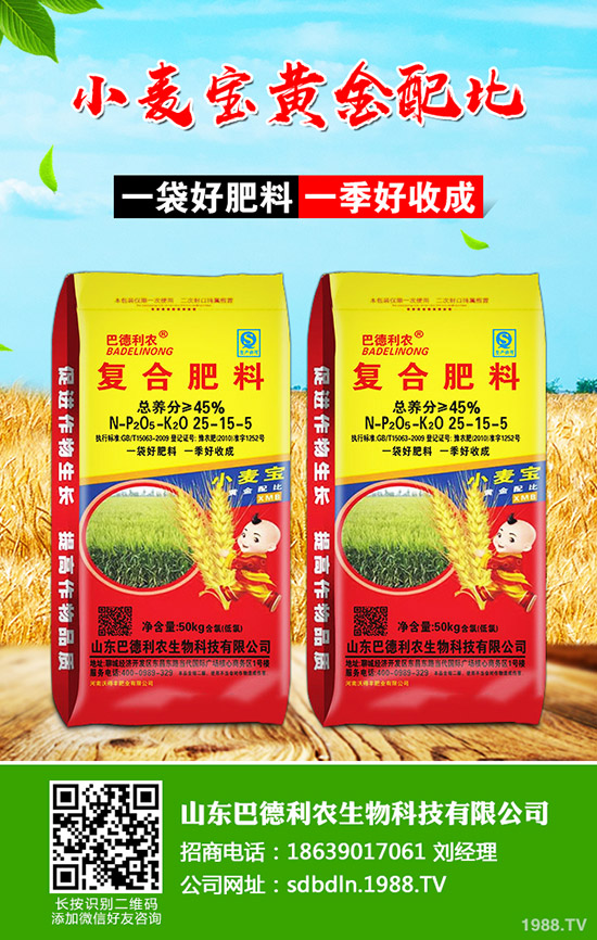 棉花如何種植?播種時期及播種密度!如何科學管理?棉花前中后期管理方案!