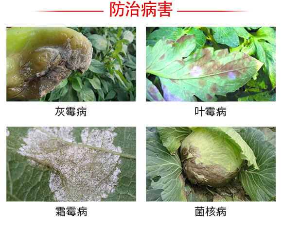 灰飛霜絕-強農生物_03